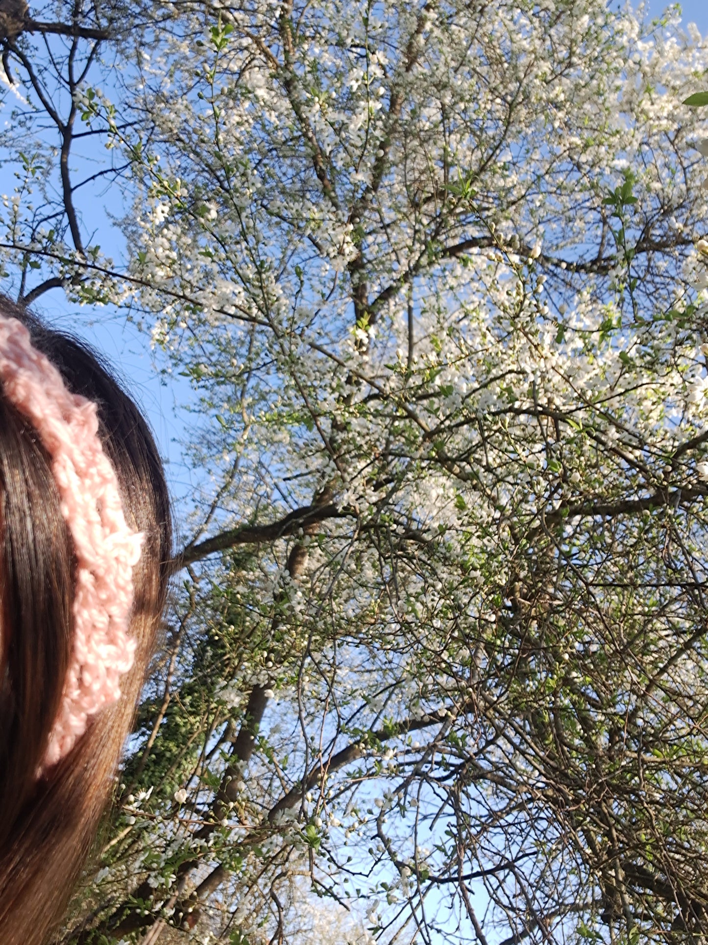 hairband