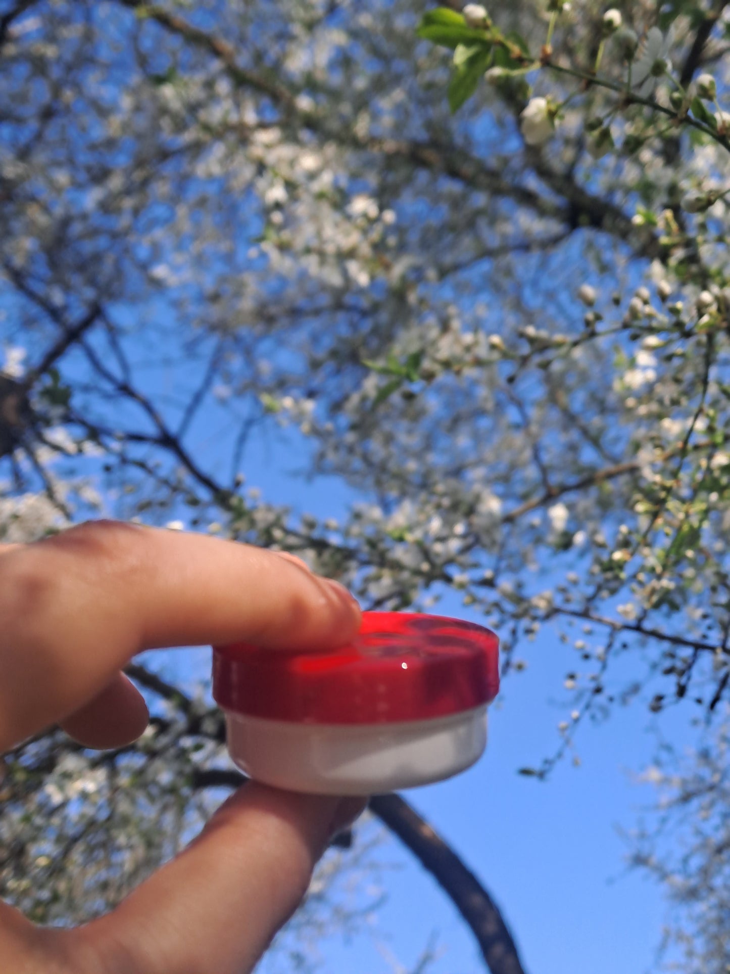 lip balm